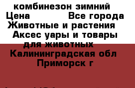 комбинезон зимний › Цена ­ 1 300 - Все города Животные и растения » Аксесcуары и товары для животных   . Калининградская обл.,Приморск г.